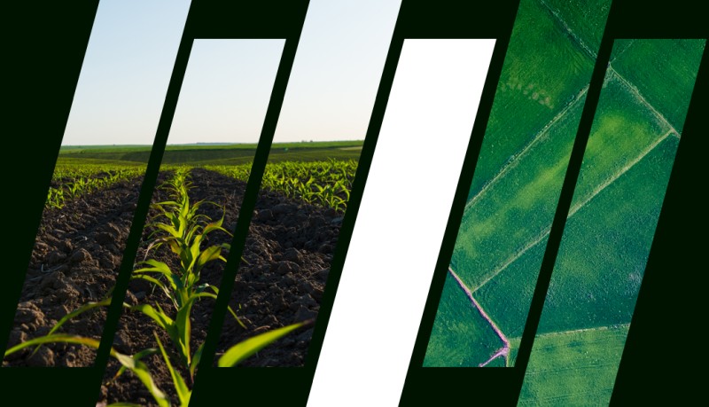 In-Situ and Fields Measurements by QZ Solutions