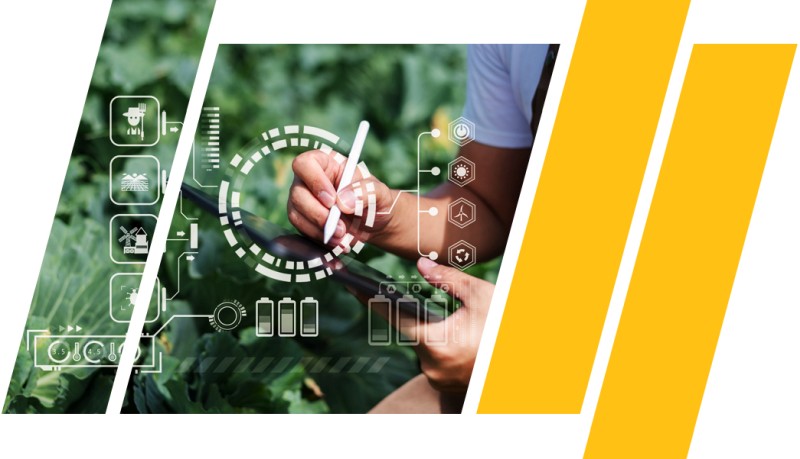 Projects of QZ Solutions - image