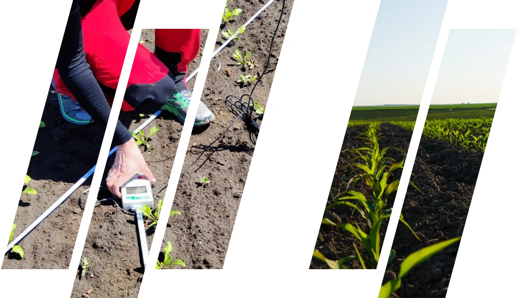 In-situ spectral measurement campaign by QZ Solutions