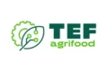 TEF agrifood logo